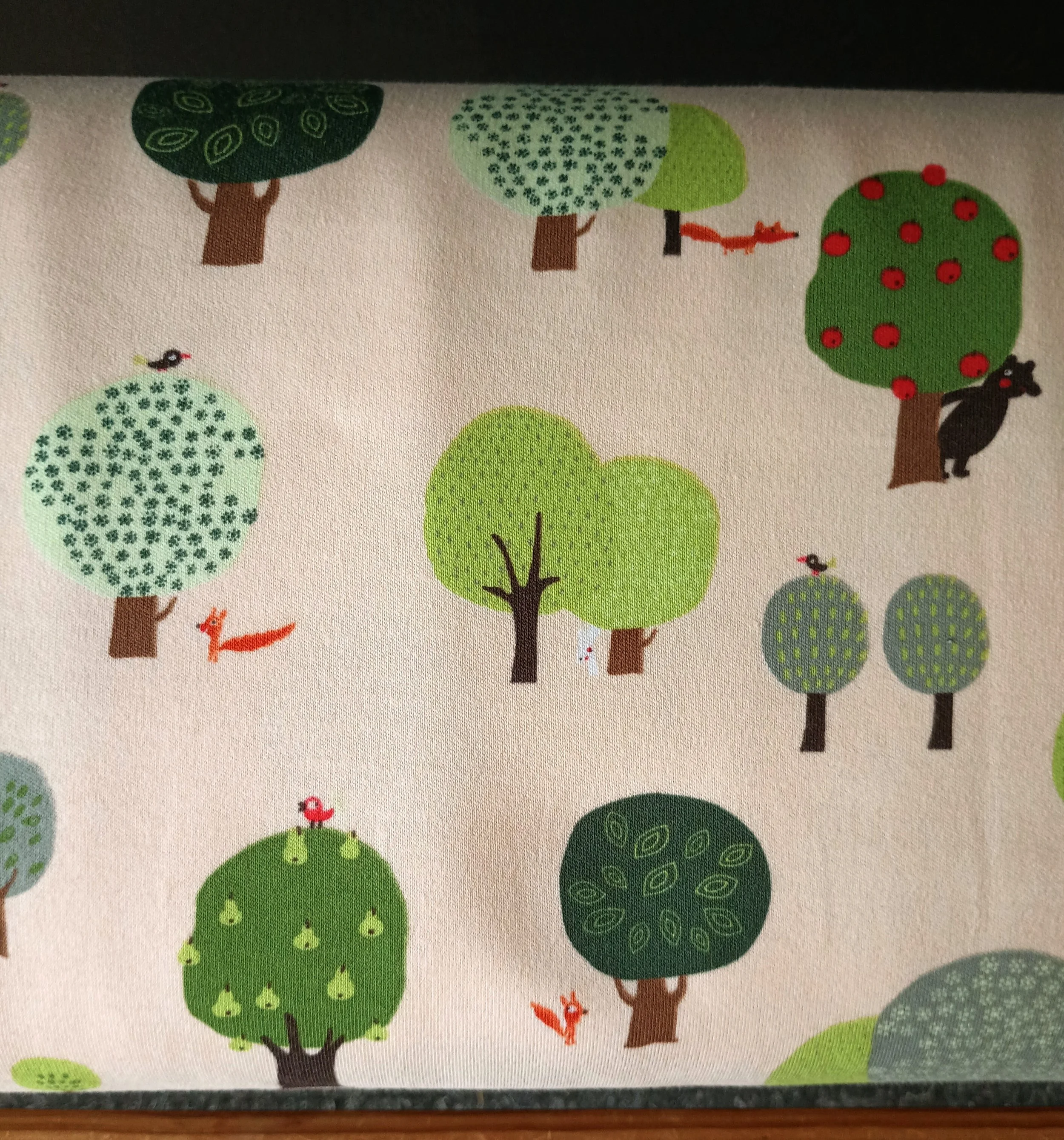 C. Pauli Fabrics- In the Forest