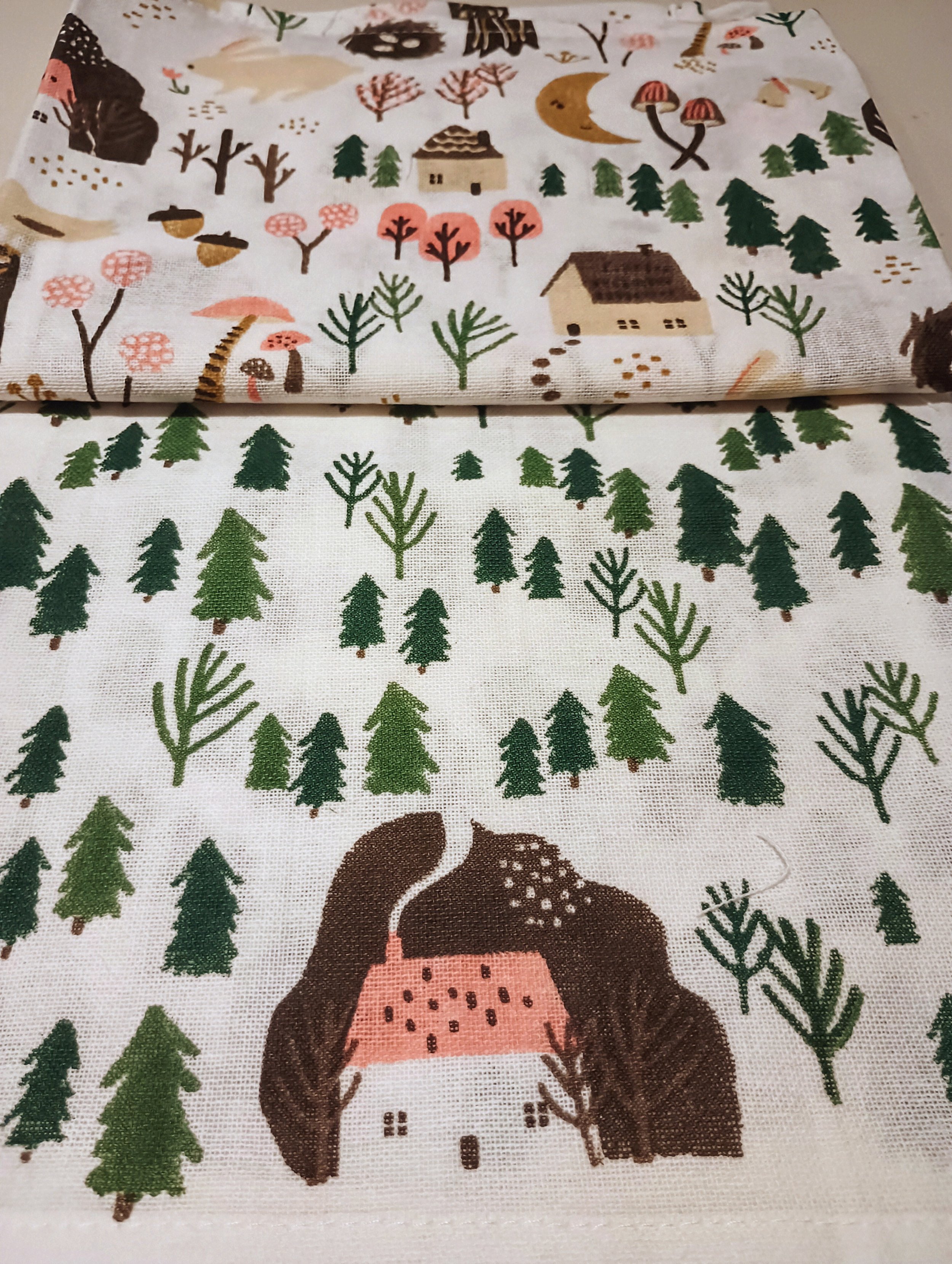 Cozy Cottage Floursack Dishtowels Set of 2 by Danica