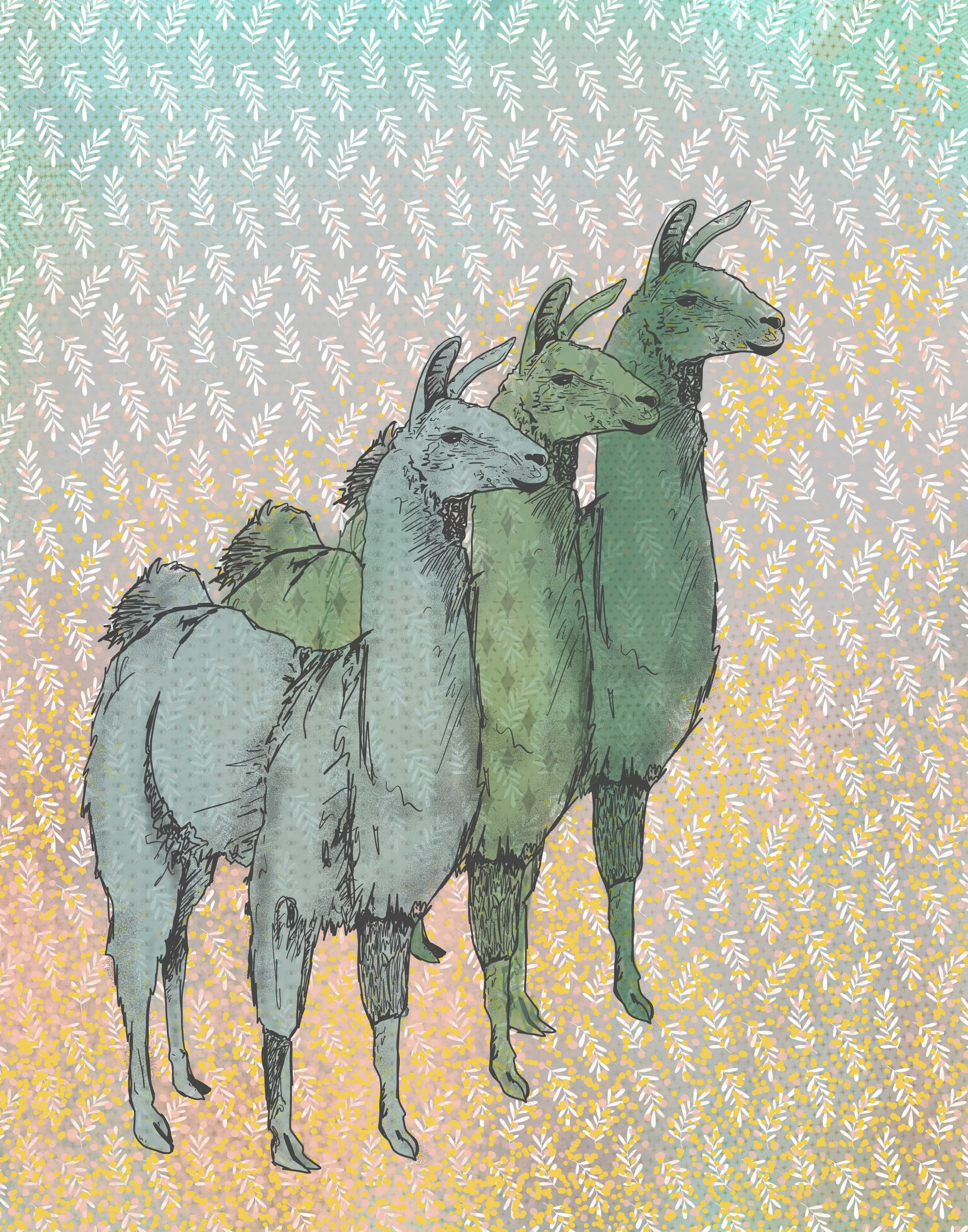 “Three Llamas”