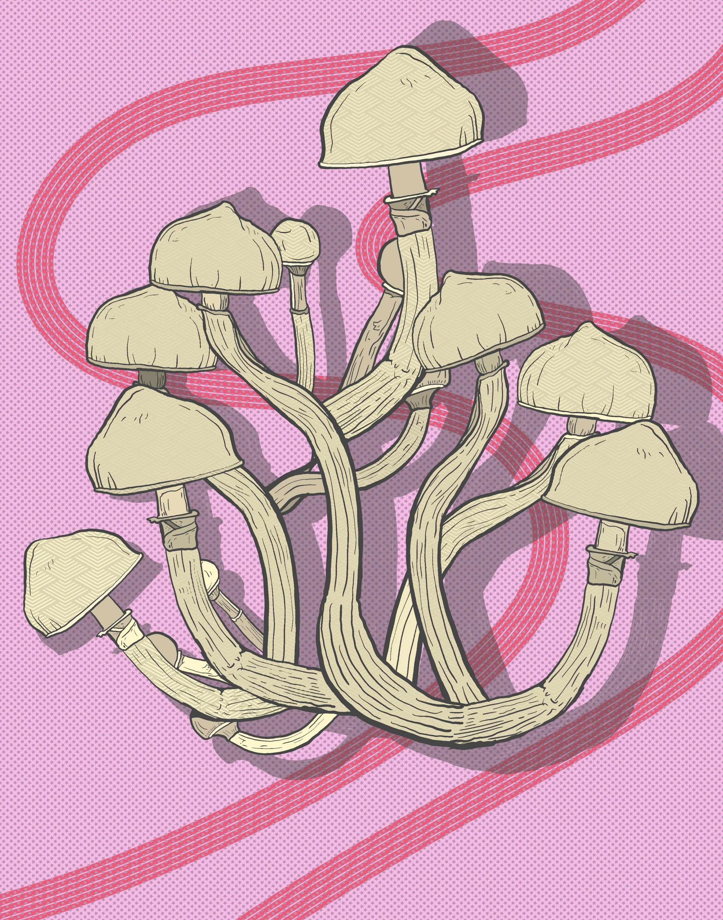 “For Your Consideration”