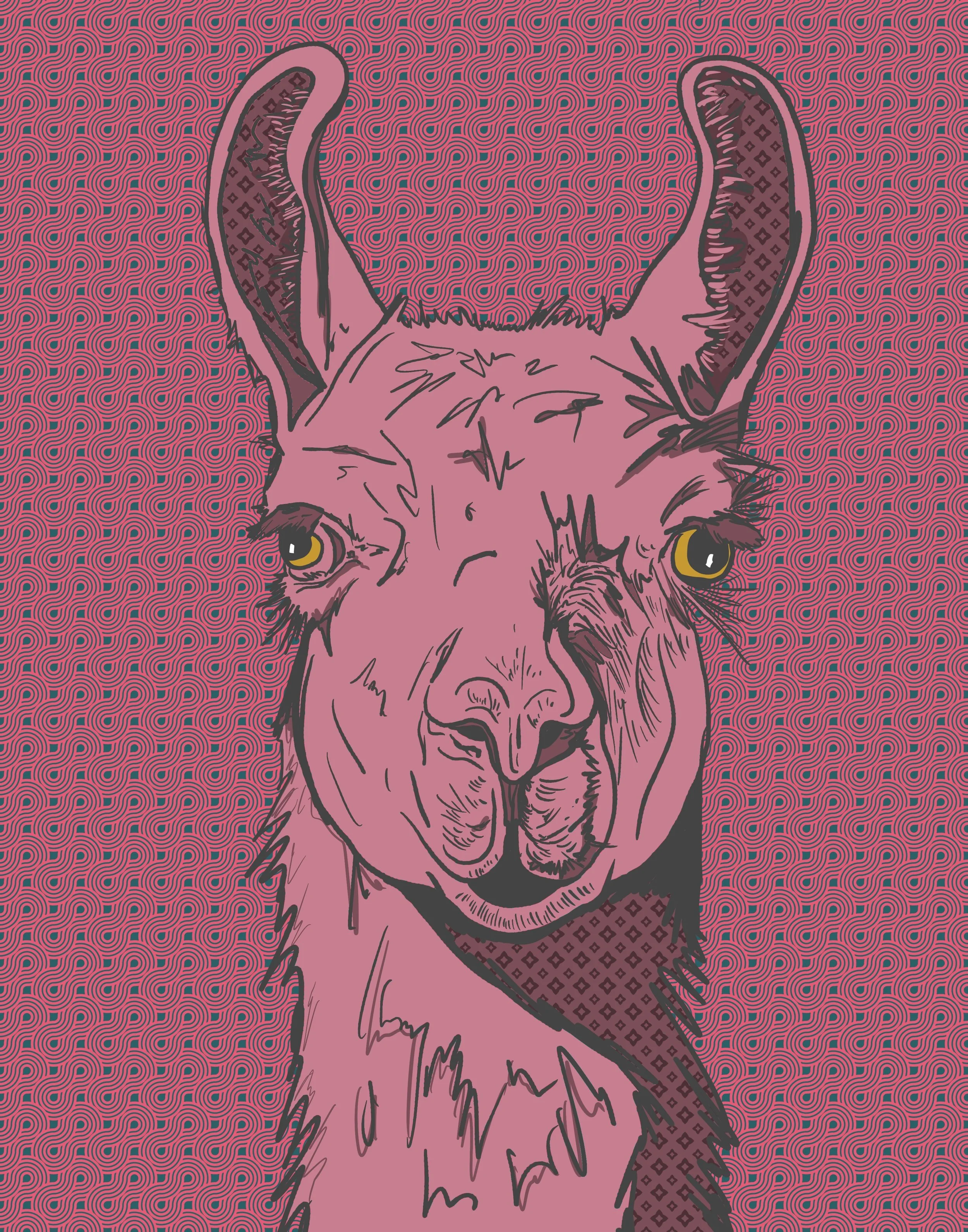 “Pink Llama”
