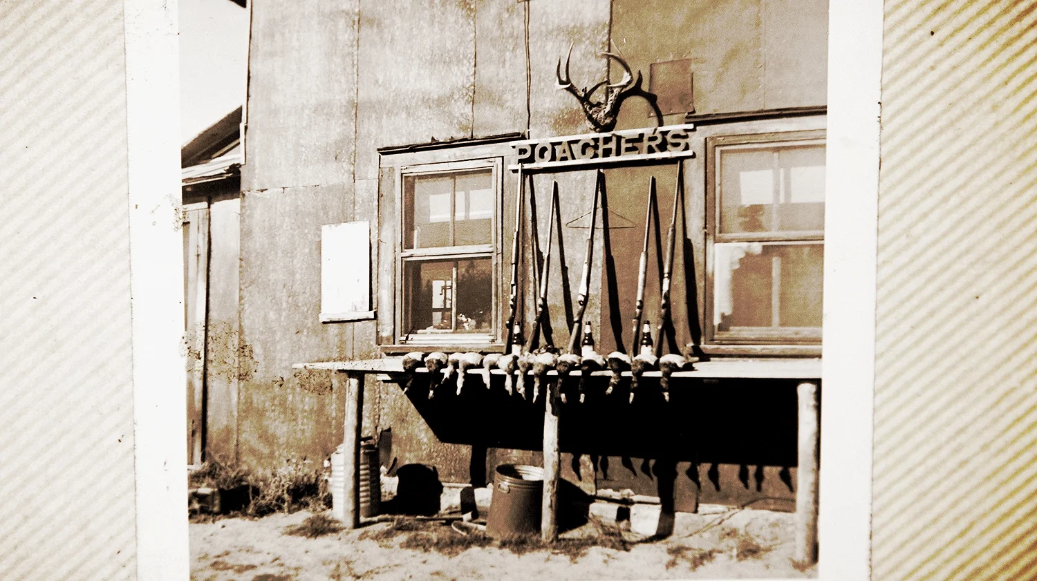 The Poachers' Shack 1952