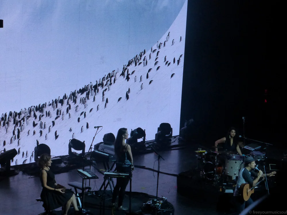 P1010435.jpg