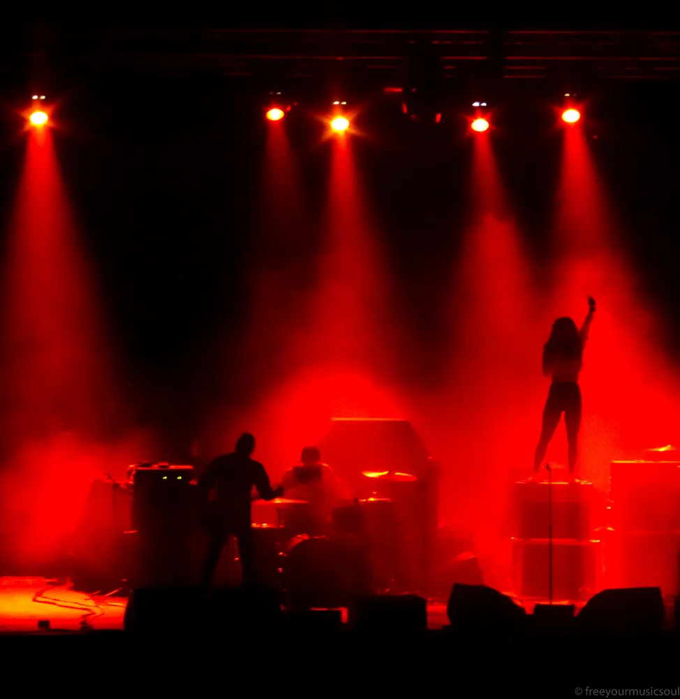 P1000816.jpg