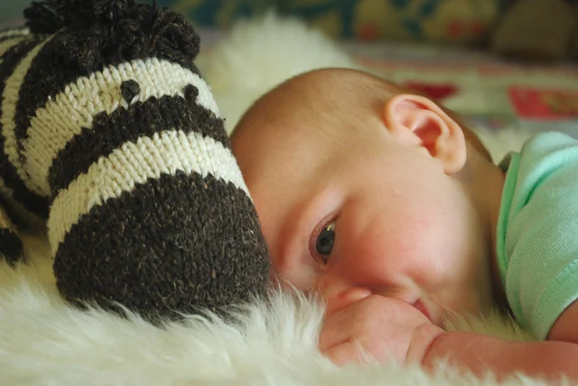 Zienna_2 Leah B. Thibault.jpg