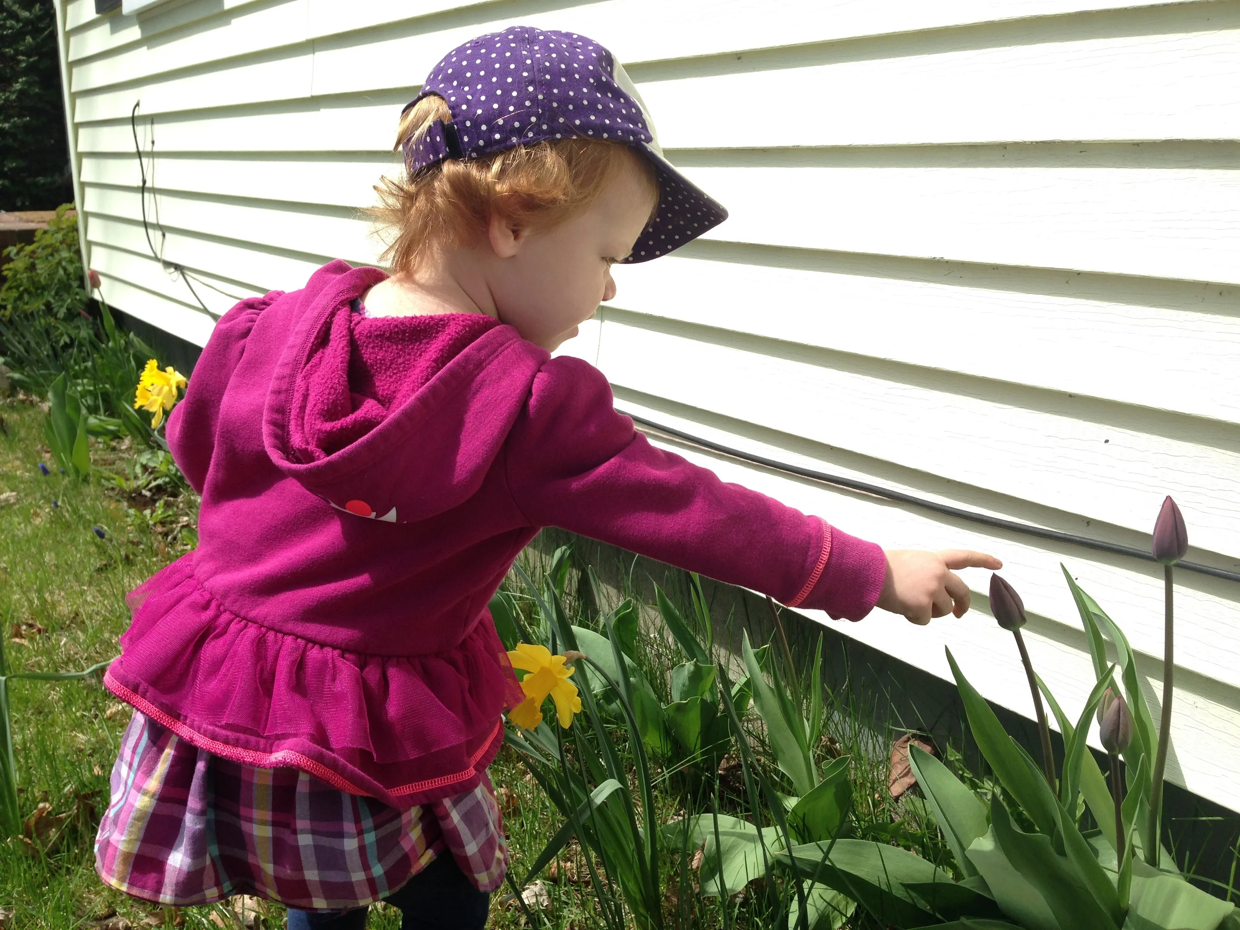 Spring in Southern Maine