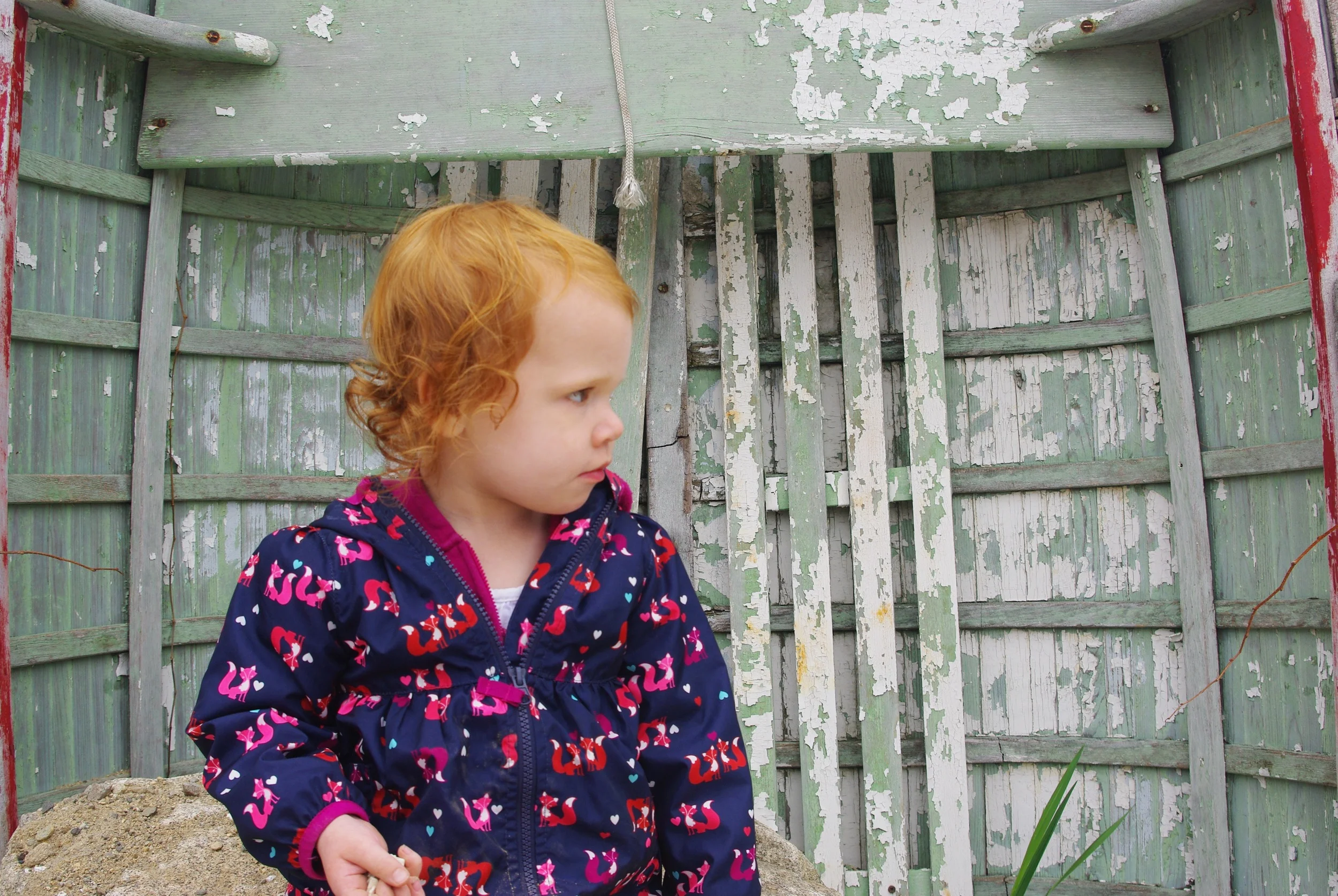 Touring Ogunquit, Kennebunkport and Prout's Neck