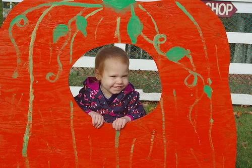 Picking Pumpkins at Smiling Hill Farm