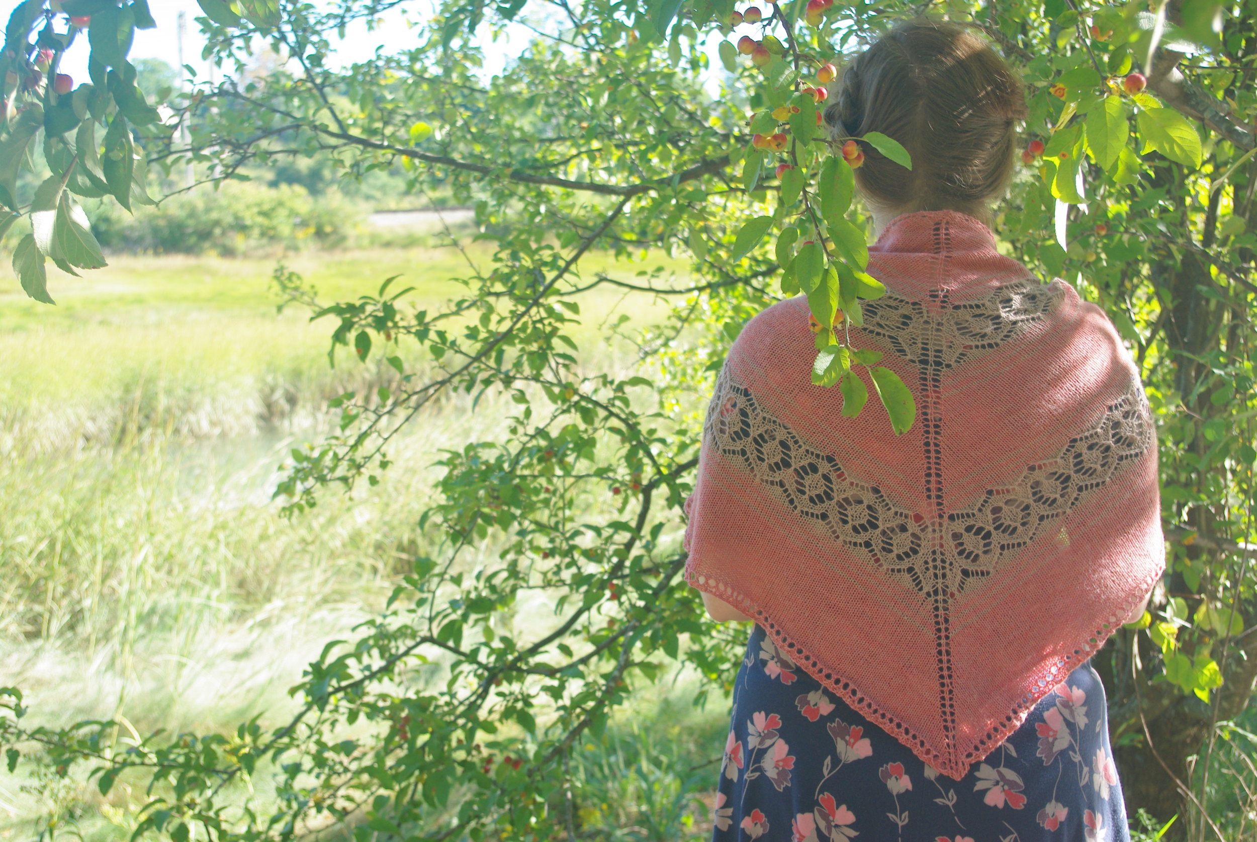 Ezekiel Saw Shawl by Leah B. Thibault