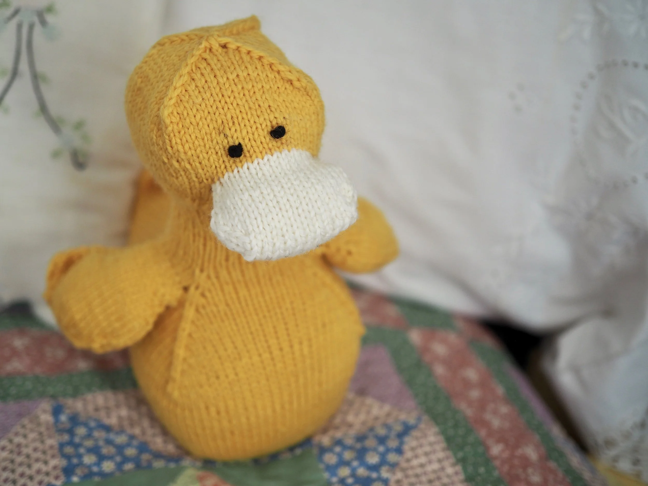 Domenic ReduxP3180024.jpg