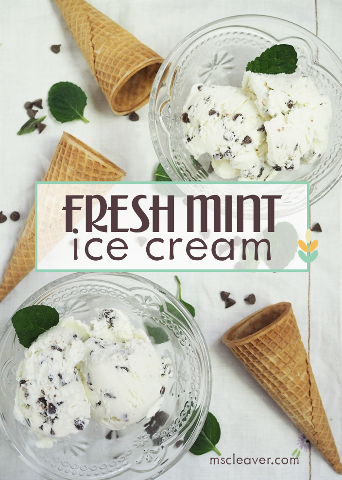 Fresh Mint Ice Cream Recipe (with Chocolate Chips)