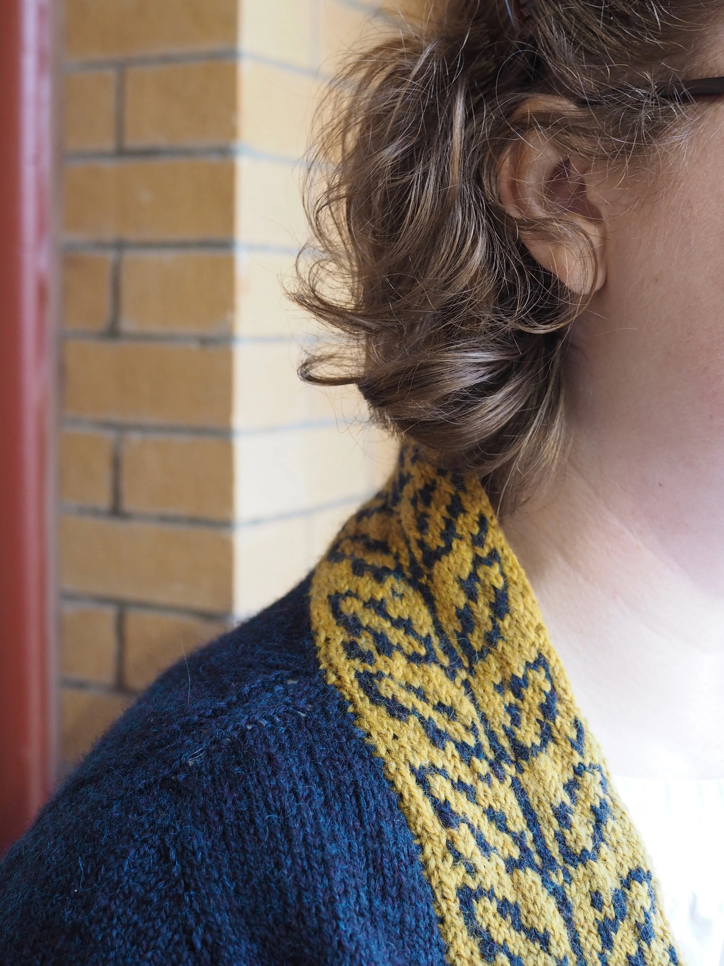 GoldenbookCardigan3.jpg