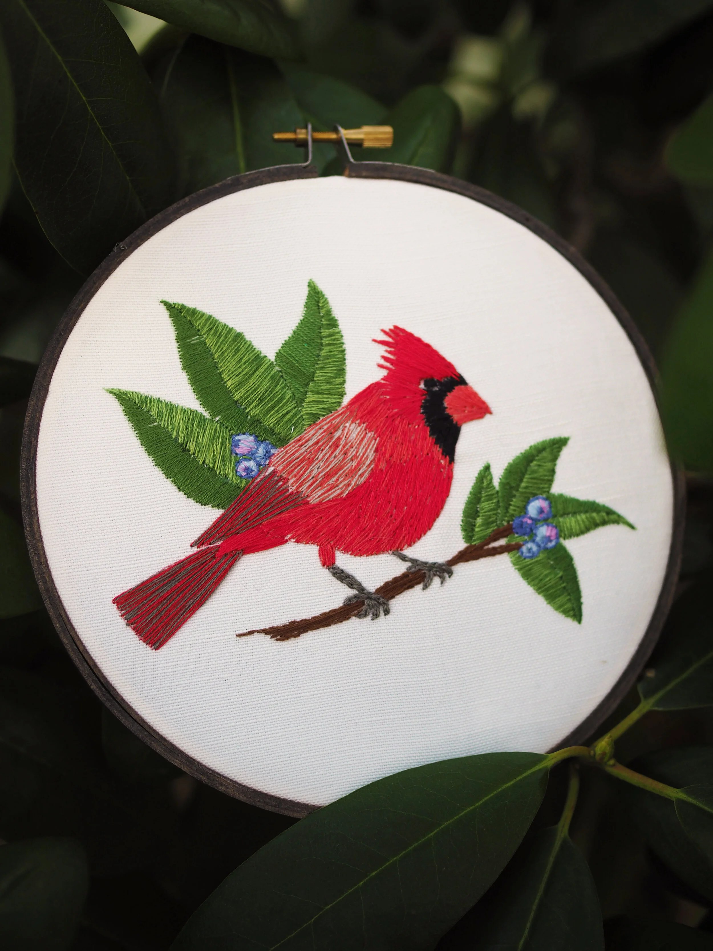 Cardinal_Fill (5).jpg