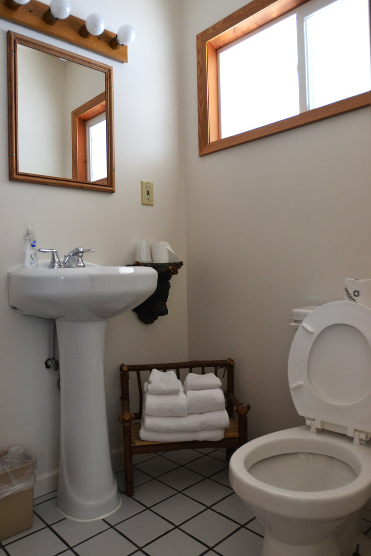 Blue Spruce Motel - Room Number 4 - Interior Bathroom.jpeg