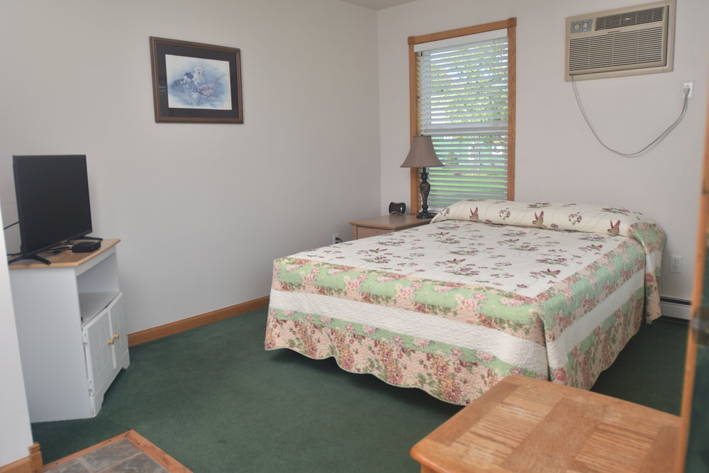 Blue Spruce Motel - Room Number 11 - Interior Bed and TV.jpeg