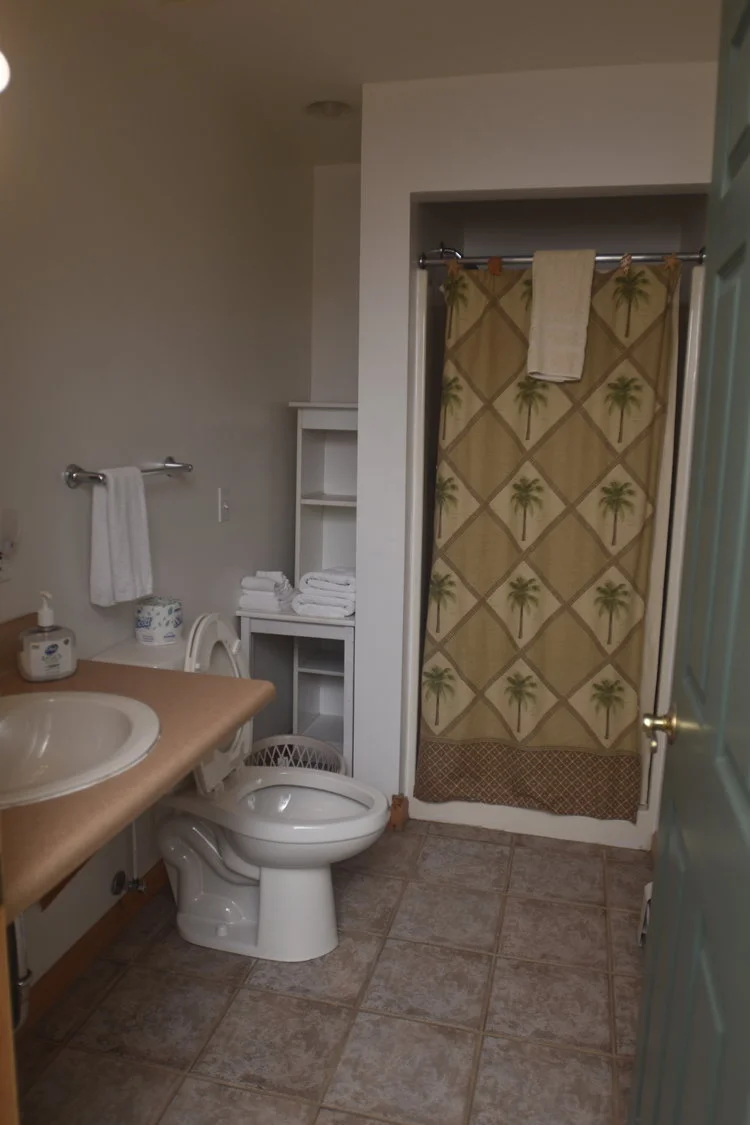 Blue Spruce Motel - Room Number 15 - Interior Bathroom.jpeg