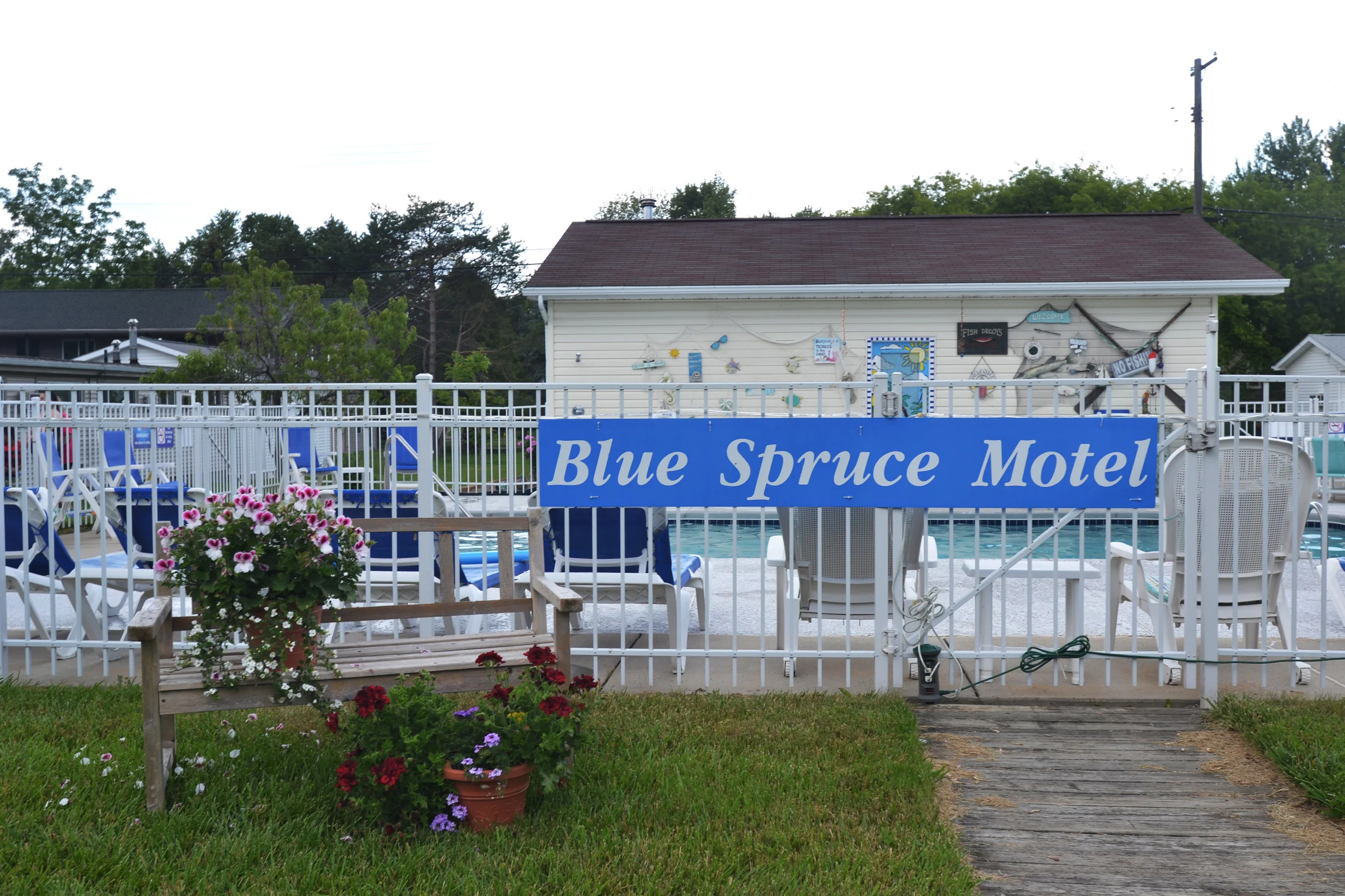 Blue Spruce Motel Pool.JPG