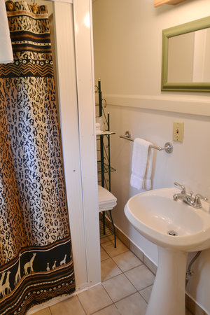 Lucky+Horseshoe+Room+#23+-+Interior+Bathroom (1).jpeg