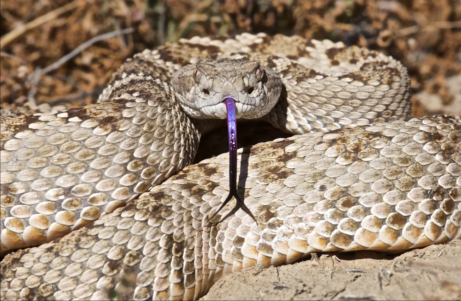 542P9309.jpg