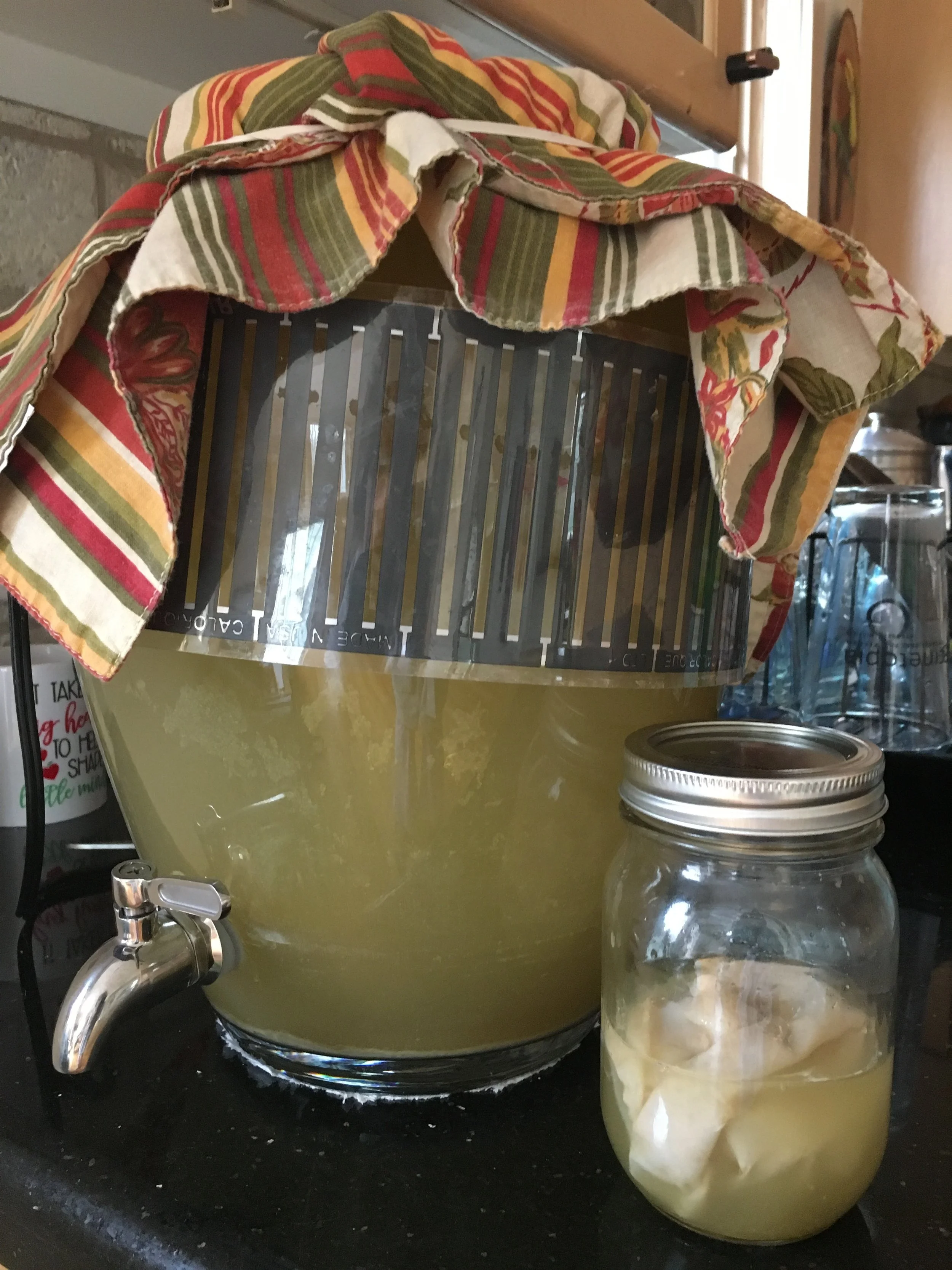 Cheers to Kombucha!!!