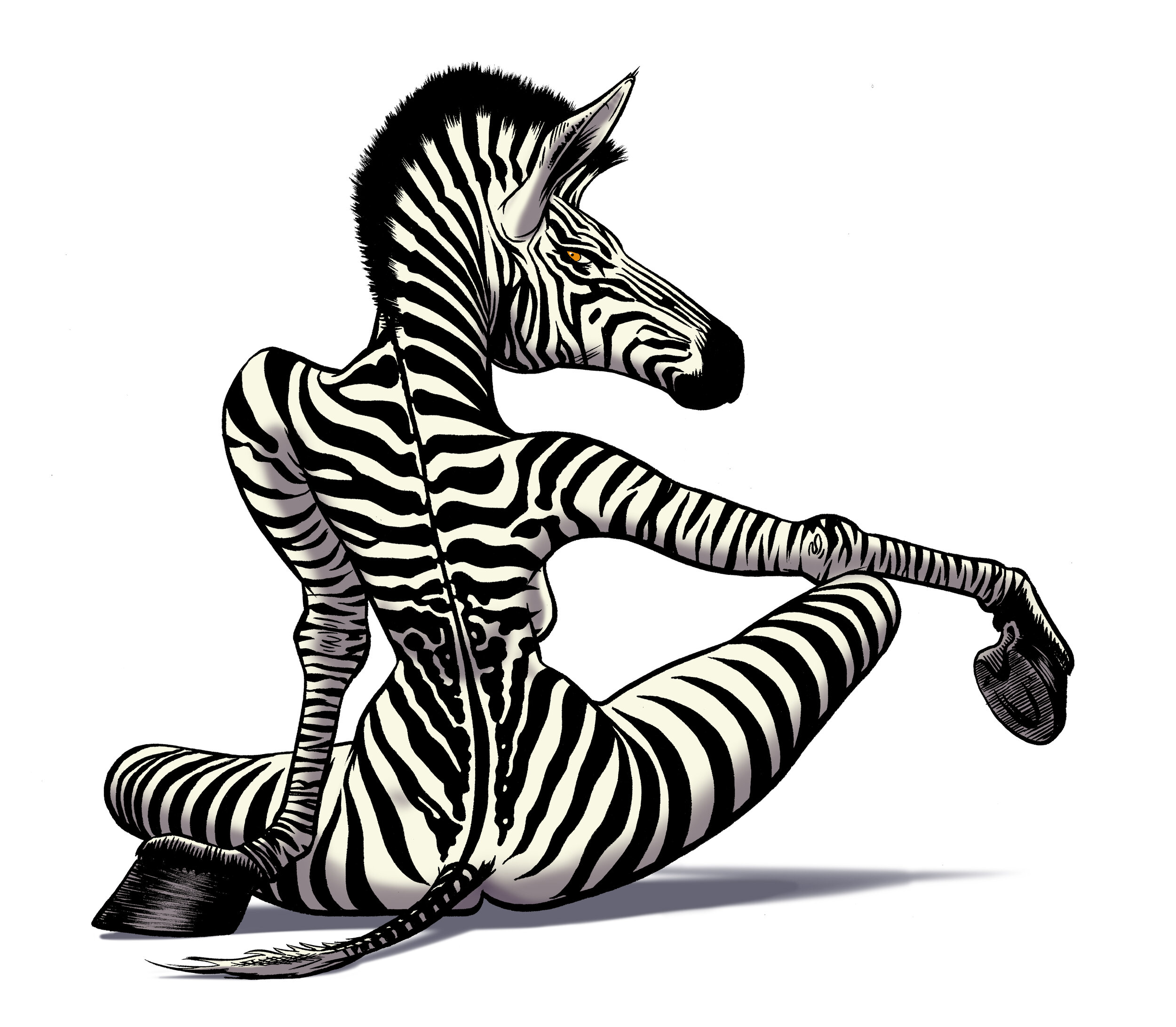 zebra series zendra 03.0.jpg