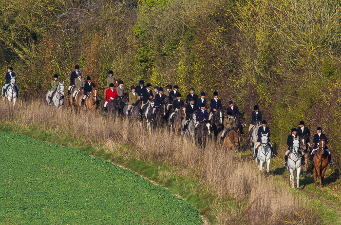 Part of the hunt field this morning - nearly 50 horses, with beautiful morning sunlight!