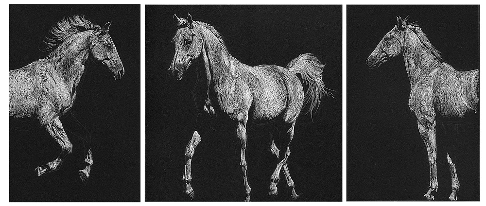 These are just a few of the sketches I sent to the British collector after our photo session with her horse. She chose the middle trotting sketch for the finished piece.
