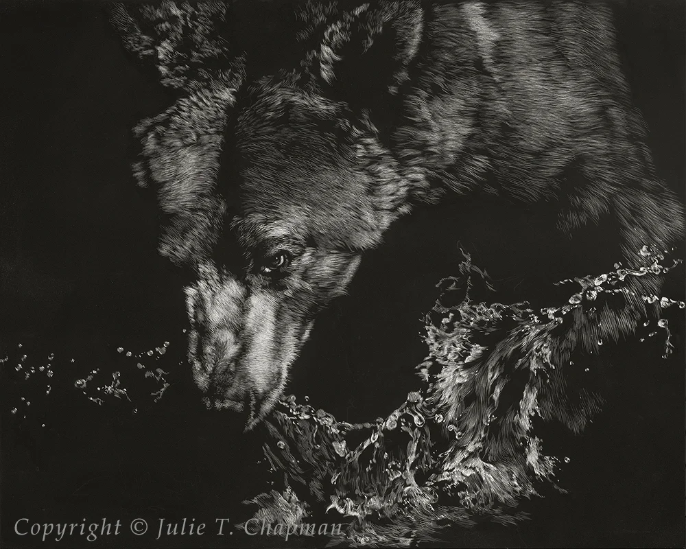 “Barreling In”, 16x20 scratchboard - $4800