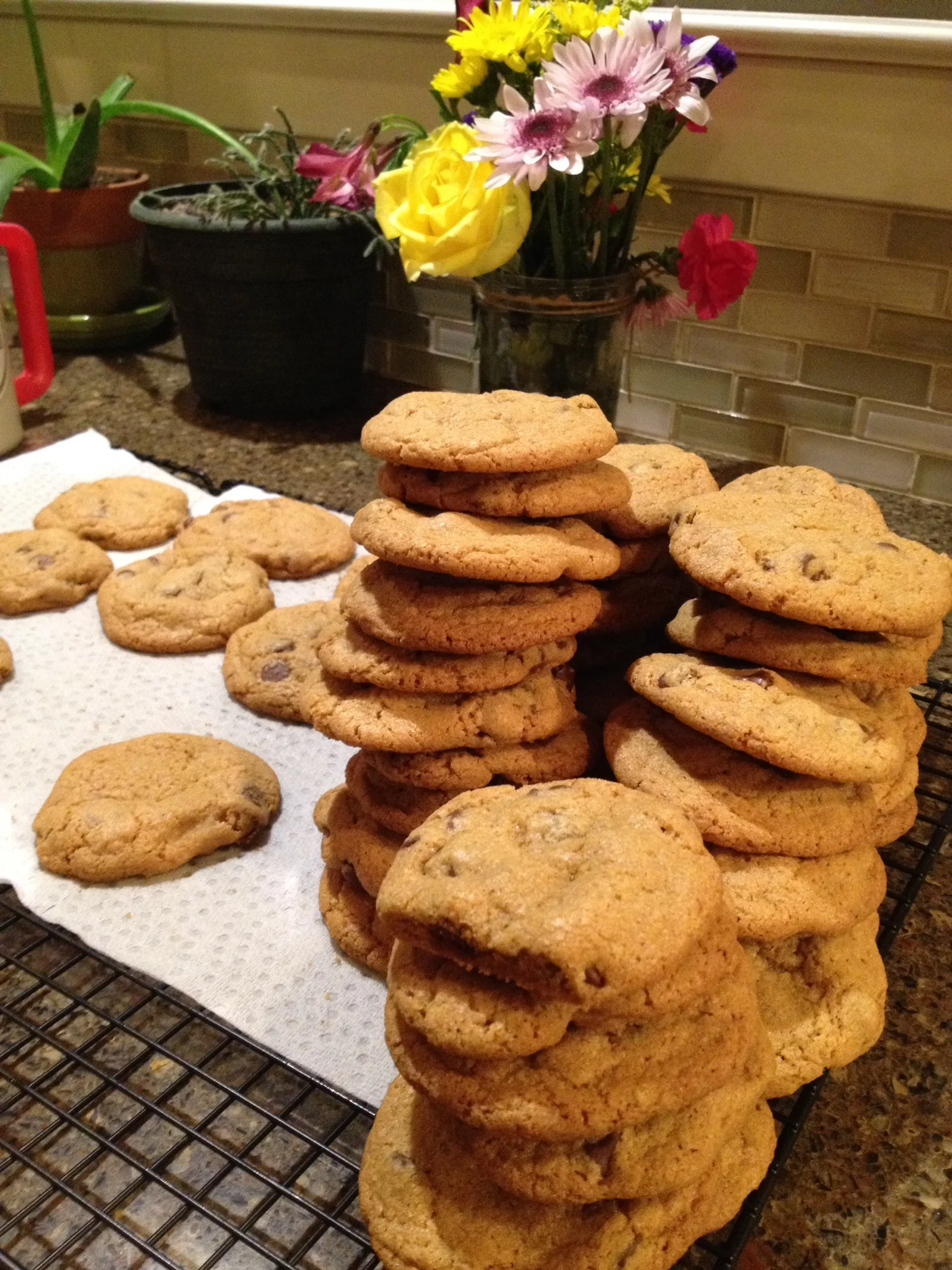 Gluten-Free Chocolate Cookies