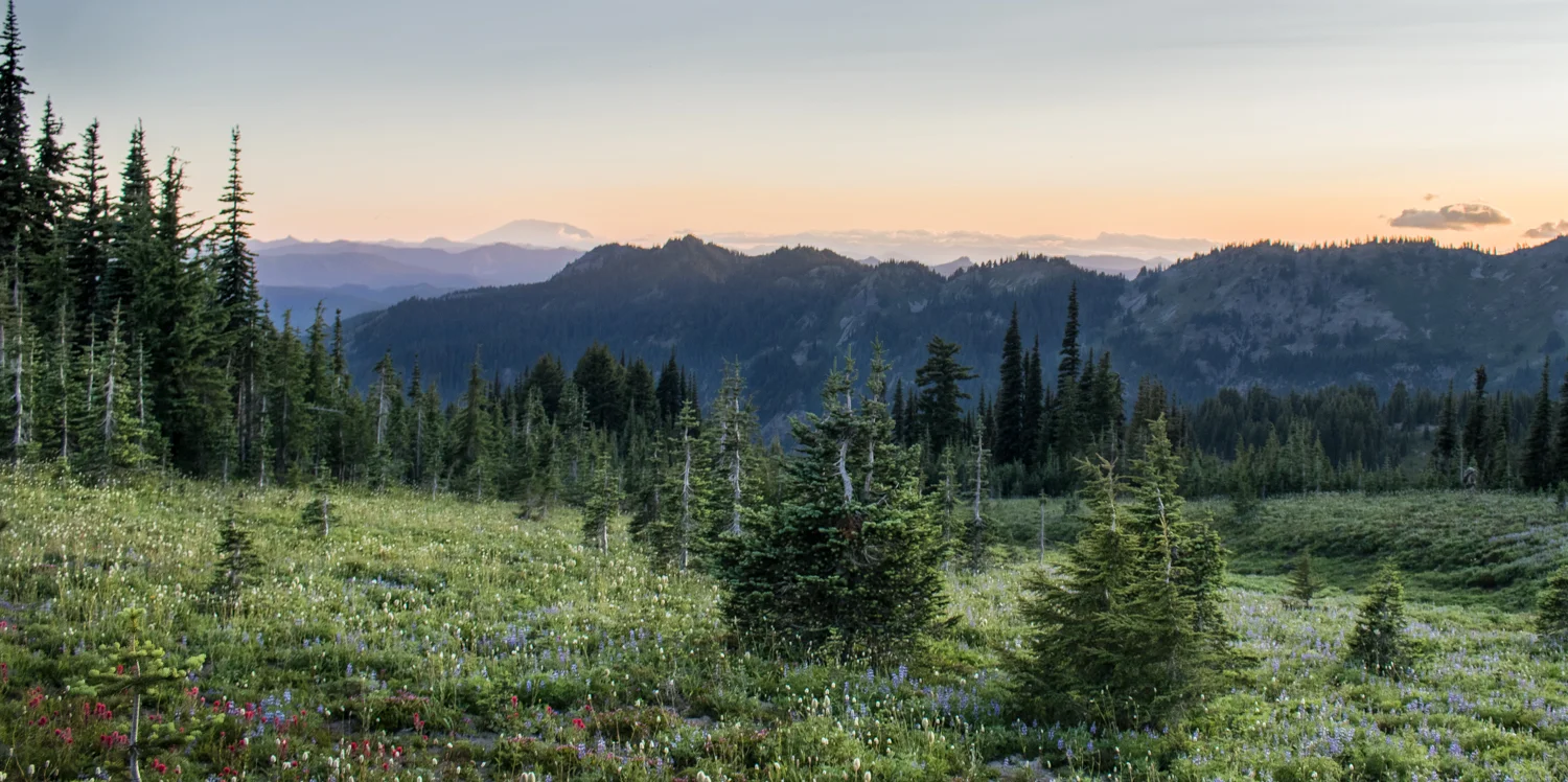 Mount St. Helens 2019