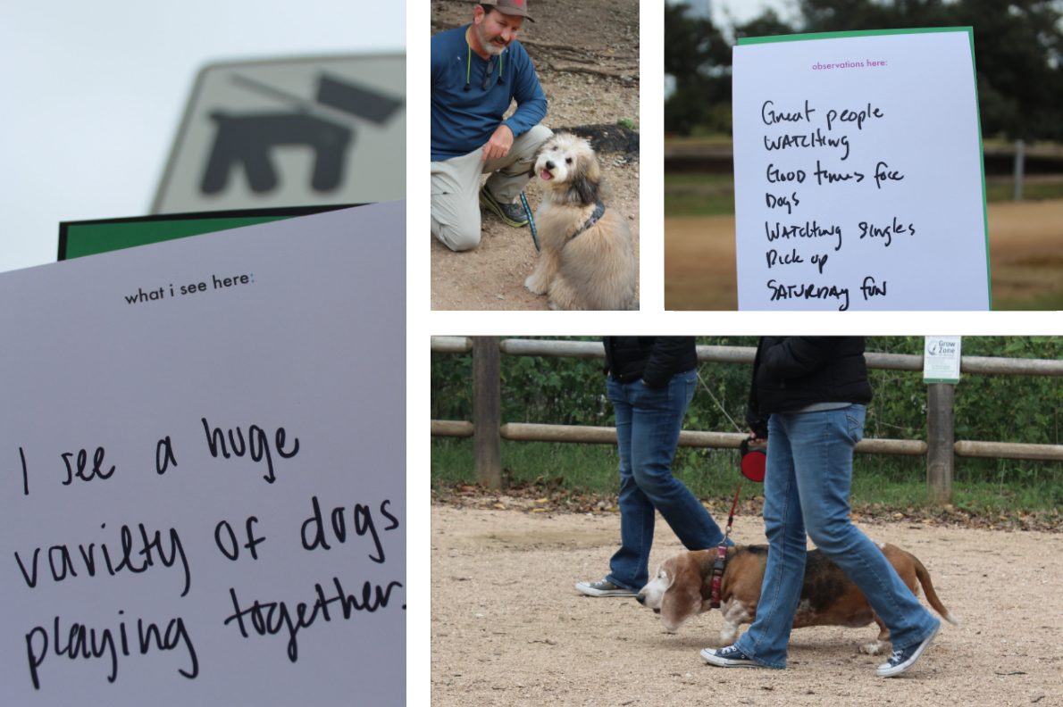 Cards and dogs. A matching couple in the bottom right photo.