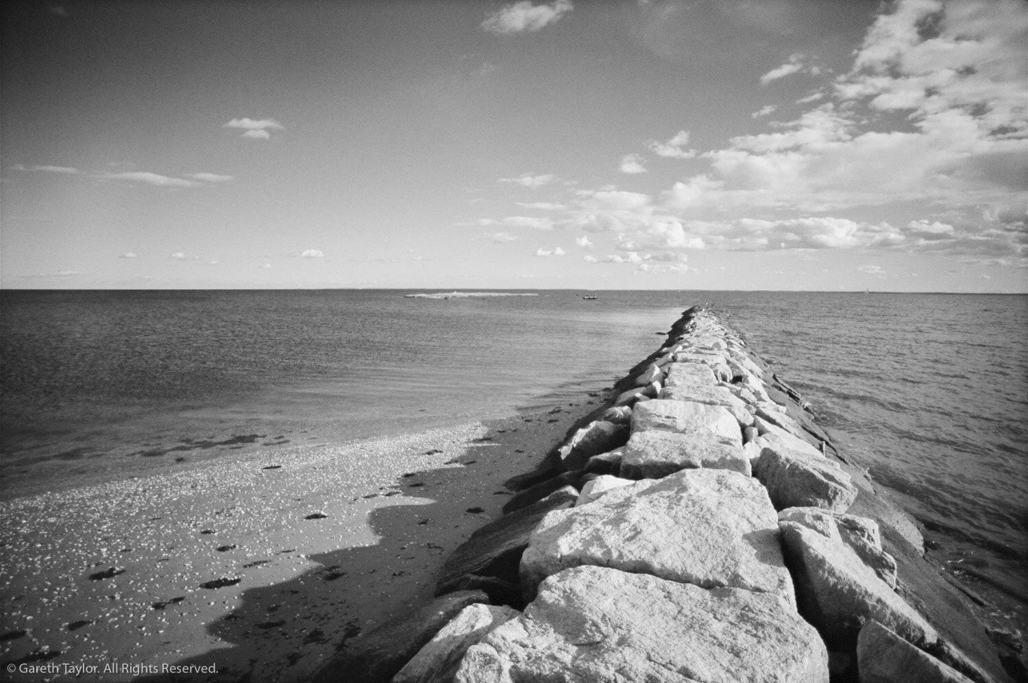 gareth taylor-0217.jpg