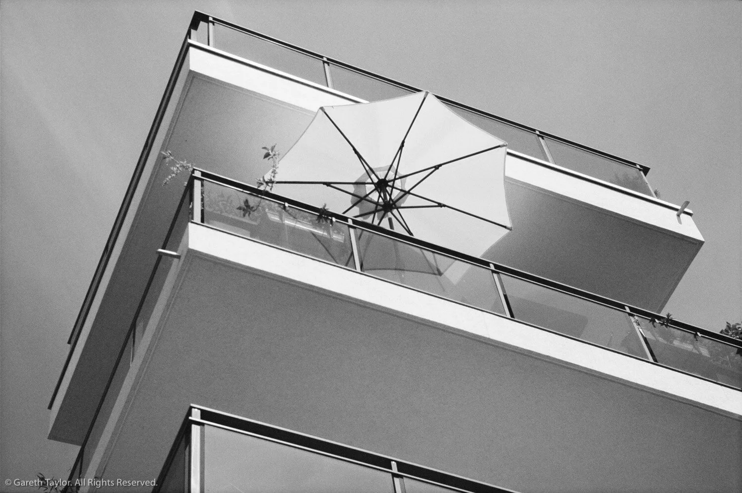 gareth taylor-0373.jpg