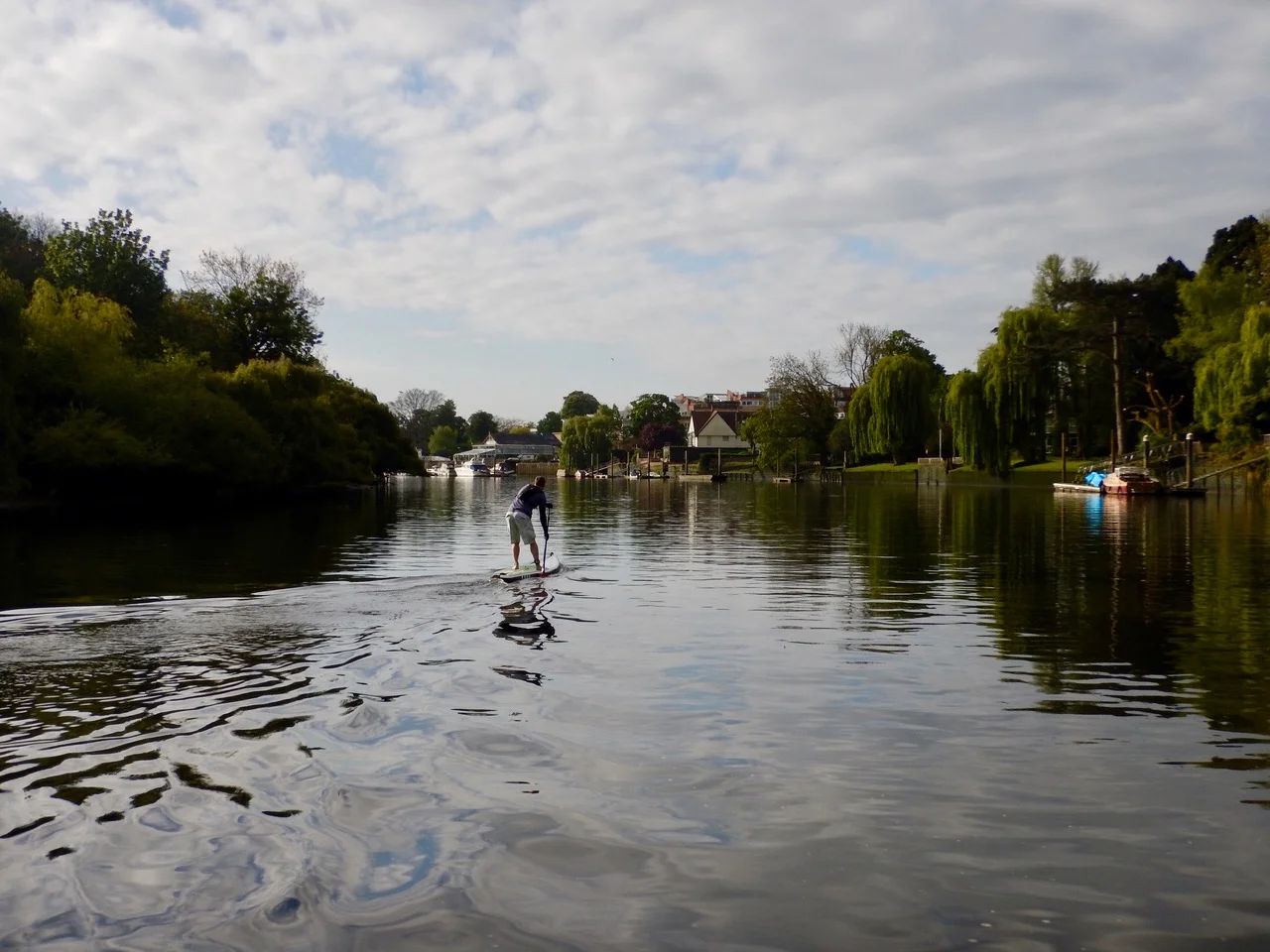 SUP Experience Richmond Upon Thames.jpeg