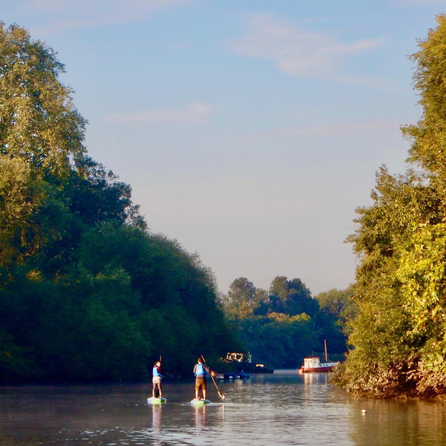 Your perfect feel good start to the day! 

Another beautiful morning on the #RiverThames 

There is no better way to set yourself up for a great day, than an early morning #DawnPatrol

#JoinUsOnTheWater
#RichmondUponThames
#NatureIsCheaperThanTherapy