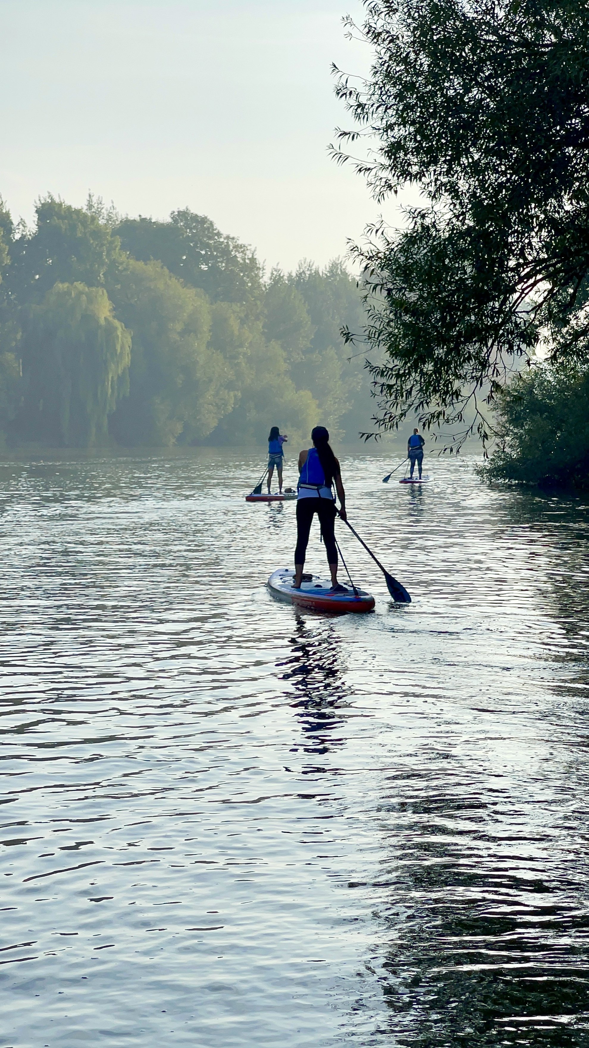 Early Morning River Thames Twickenham.jpg