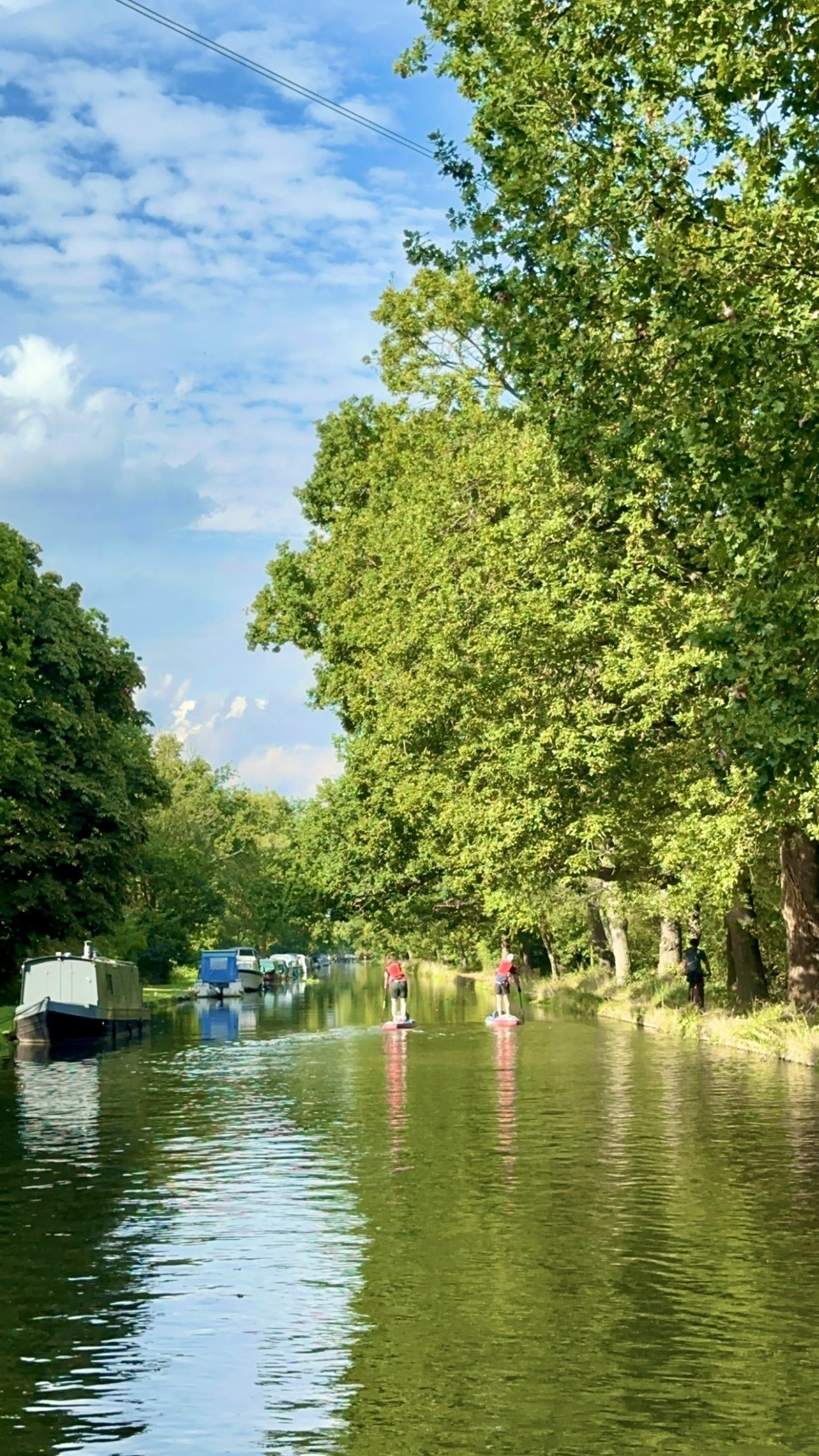 River Wey Day Trips Guilford.jpg