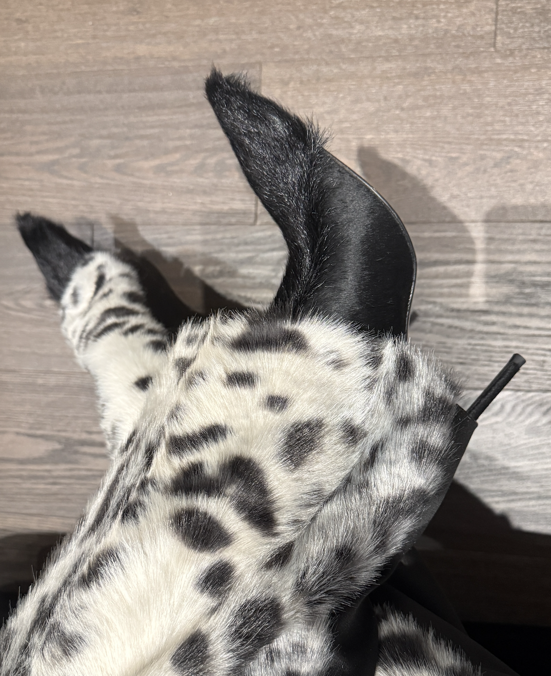 Screenshot 2026-01-07 at 6.07.23 PM.png