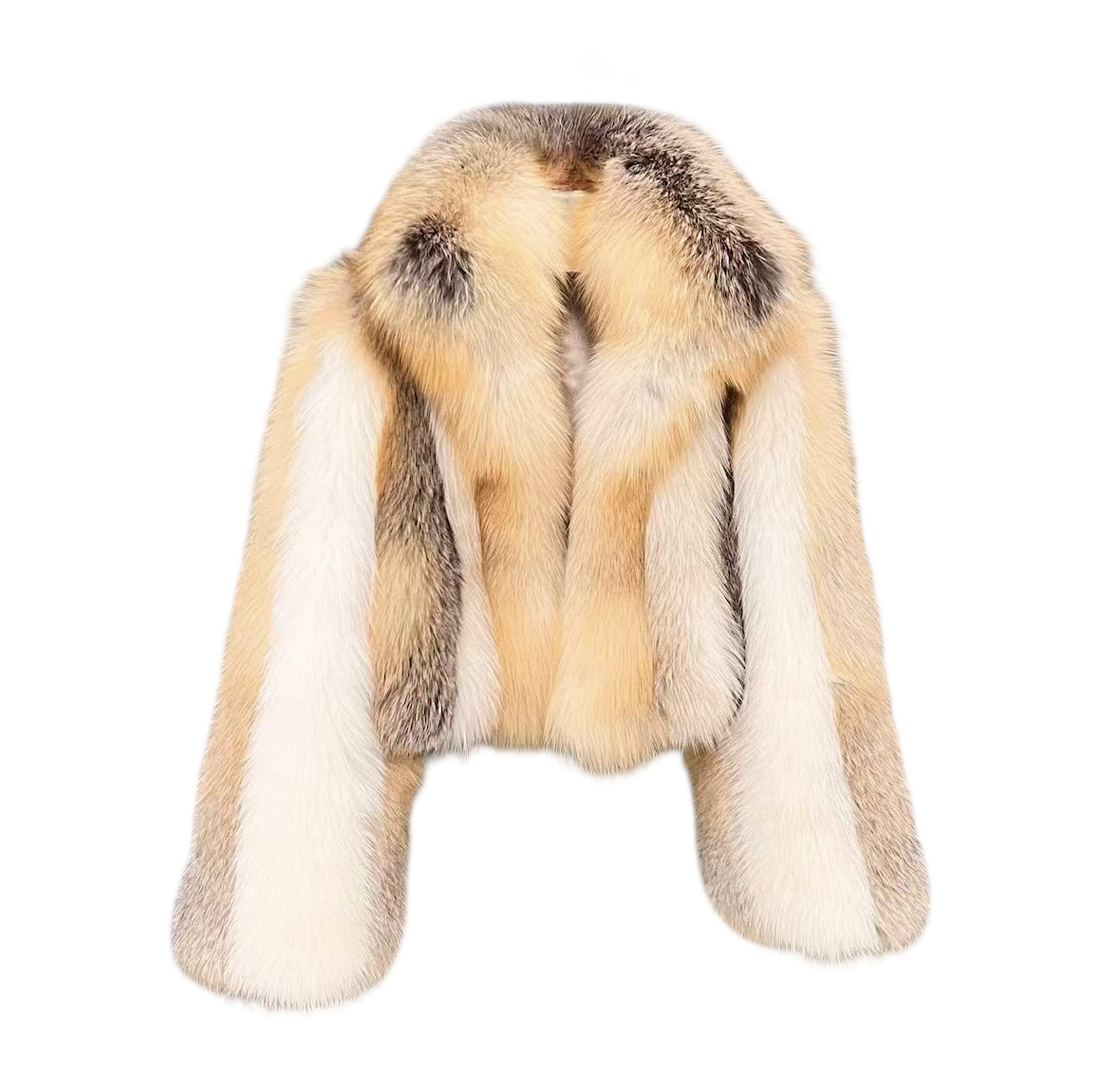 Screenshot 2025-11-26 at 1.02.00 PM.png