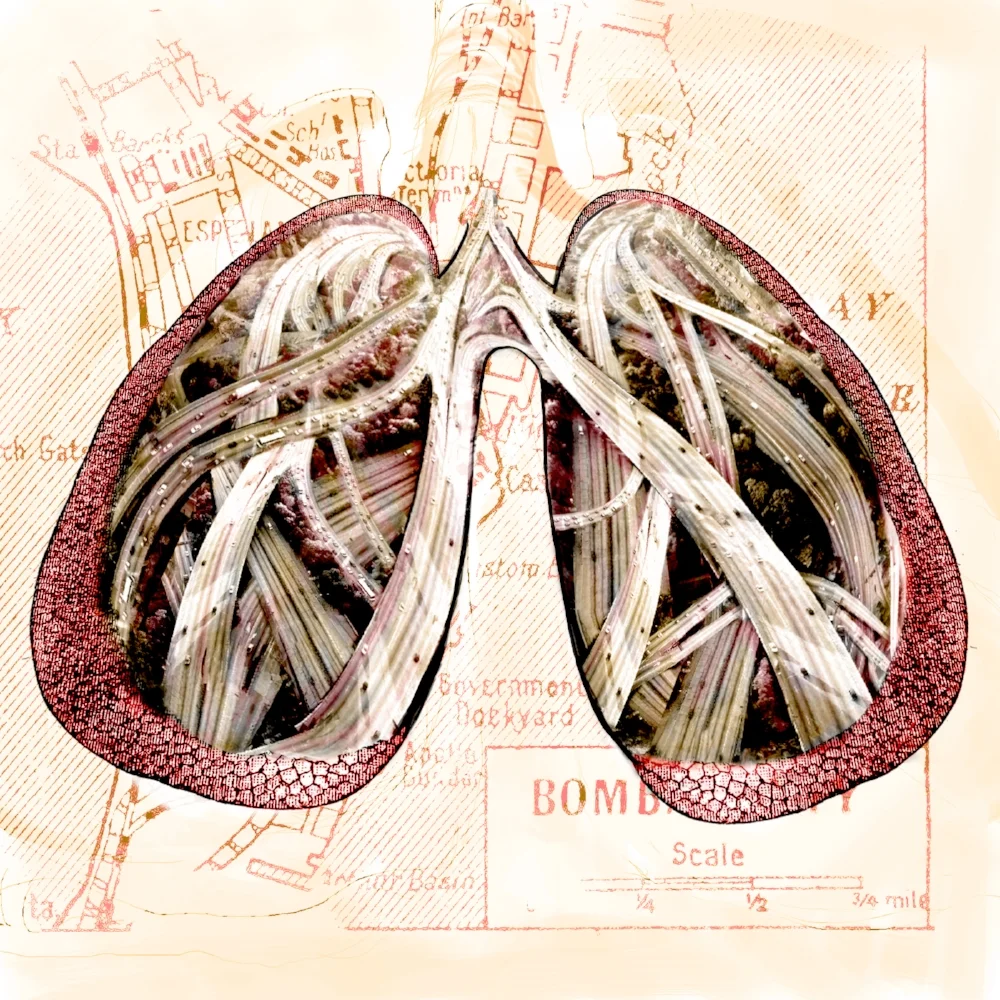 lungfreeway.jpg