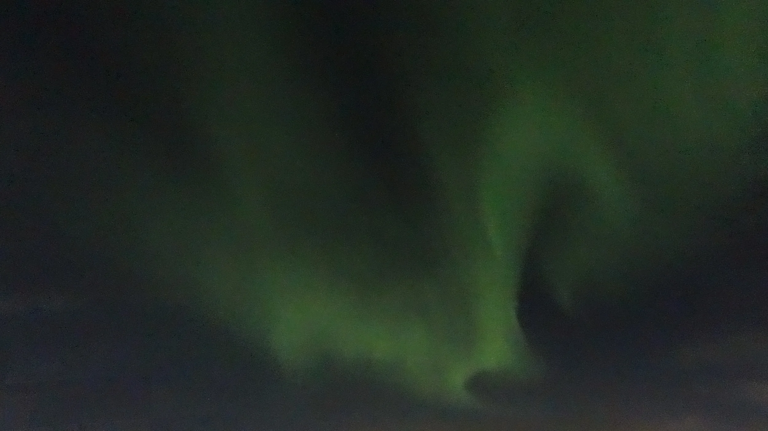 DSC00334.jpg