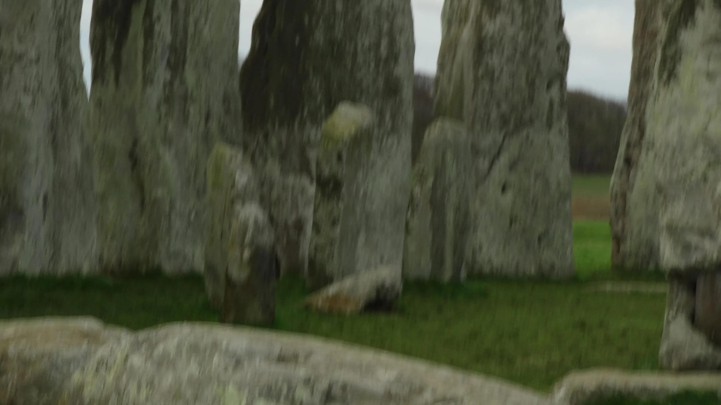 DSC00403.JPG