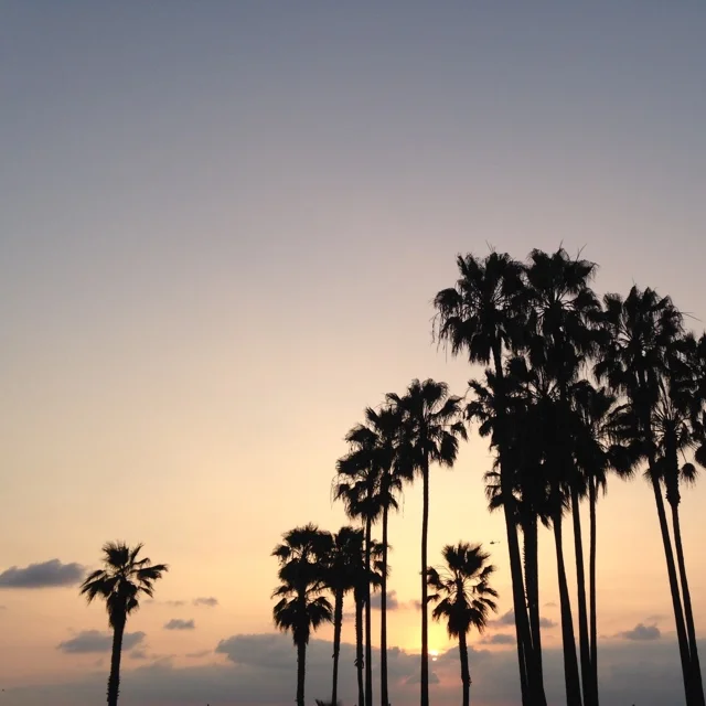 Travel Diaries: LALA Land