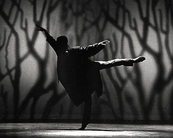 GALLMAN'S NEWARK DANCE THEATER (2001)