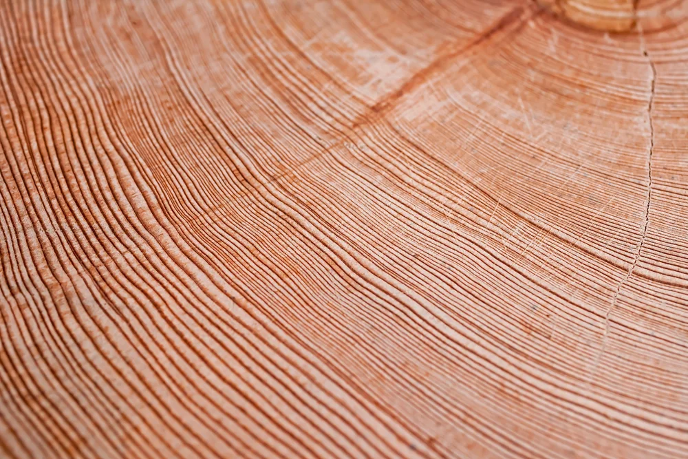 2012BigCreekLumber0329-382-final.jpg