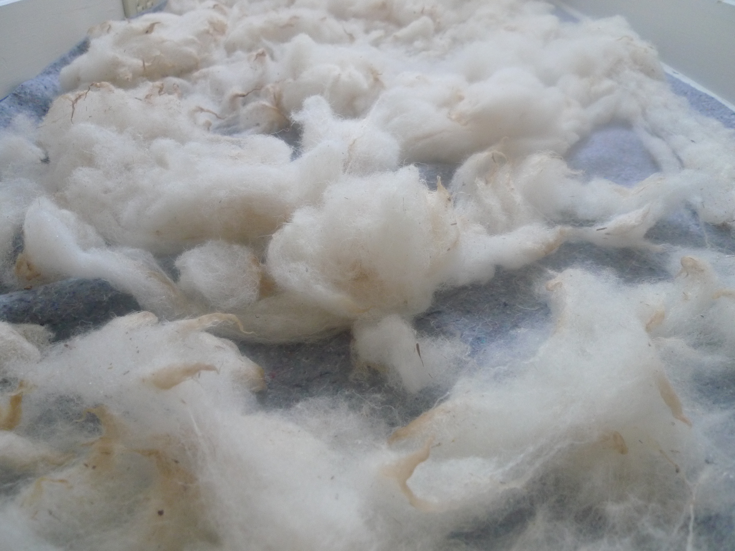 Air drying fiber