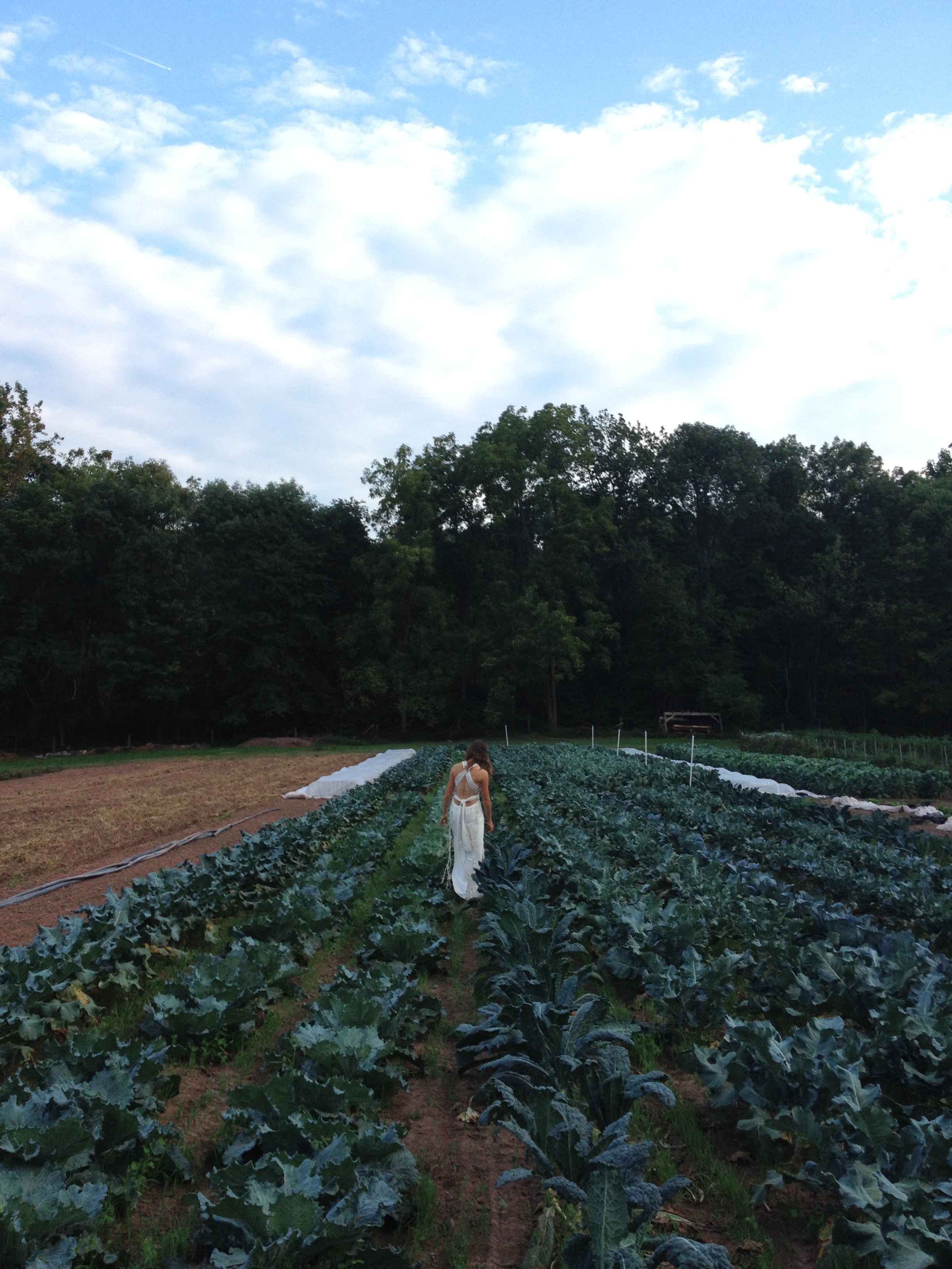 Annie in kale.