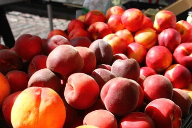 fruittt.jpg