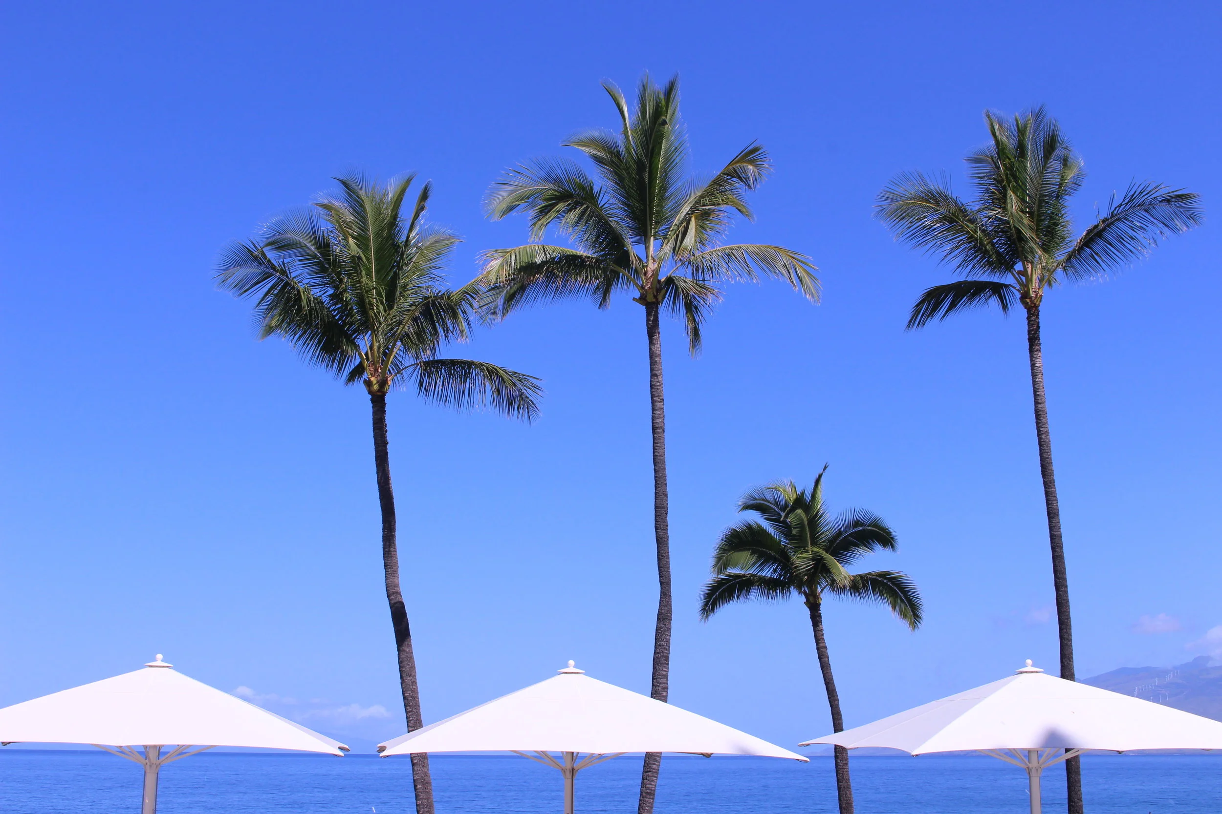 Views at Wailea Beach Resort