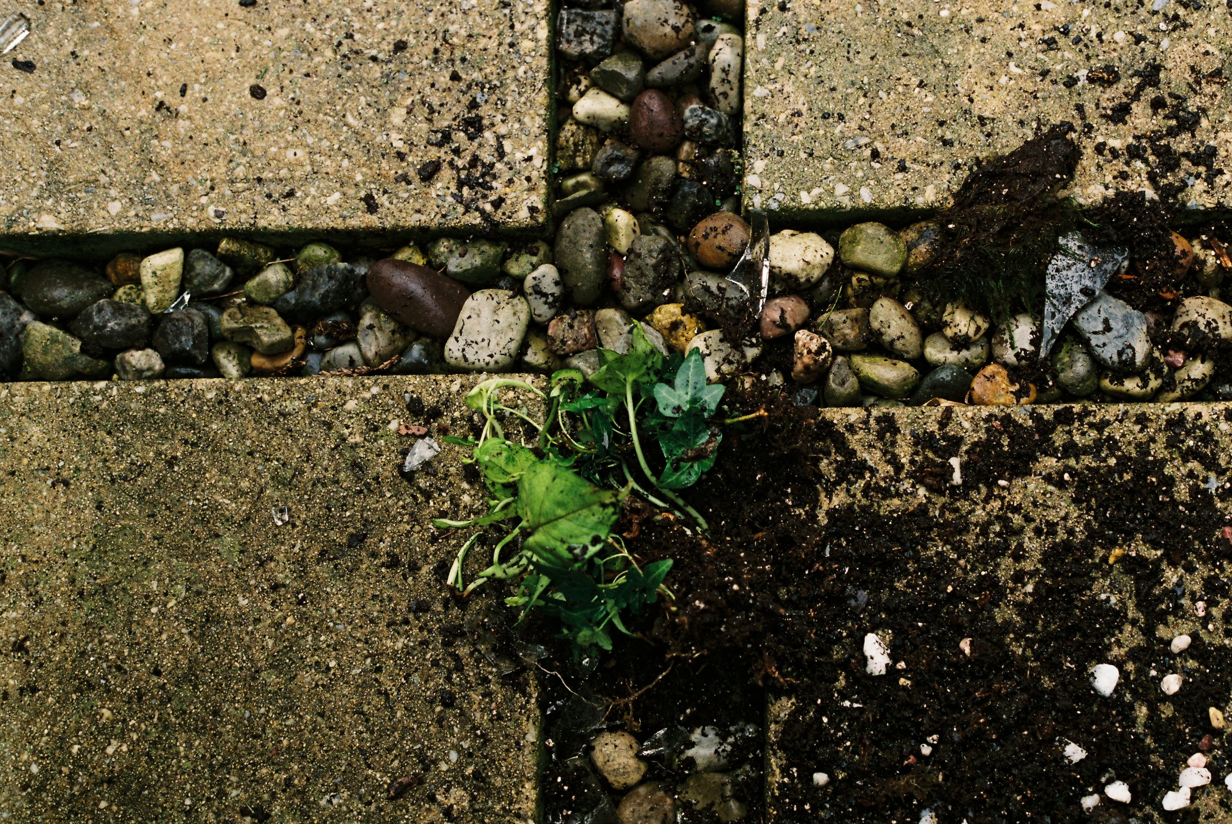 SaraWas_SaraWas-R2-067-32.jpg
